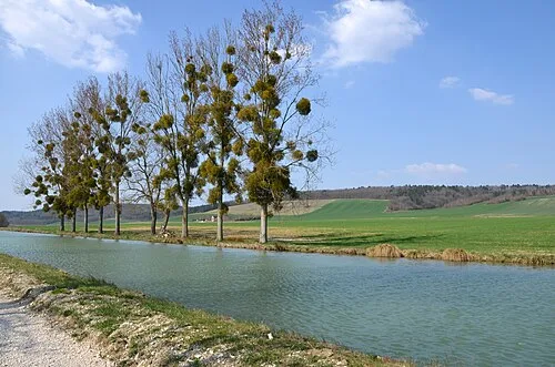 Le Canal de Bourgogne entre Commissey et Tonnerre, vue sur le chemin de halage