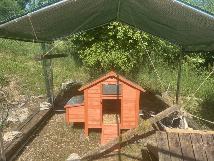 La volière de Baon — grand espace grillagé avec poulailler en bois orange